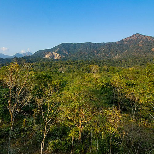 Buxa Tiger Reserve