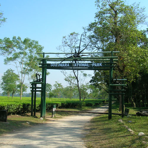 Gorumara National Park