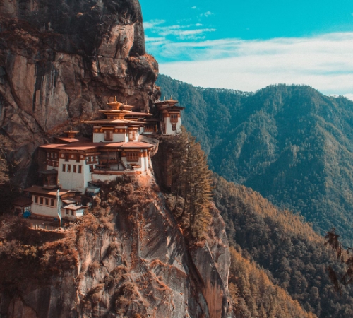 Druk Experience (Drive in - Drive Out)