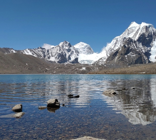 Eastern Himalyan Delight